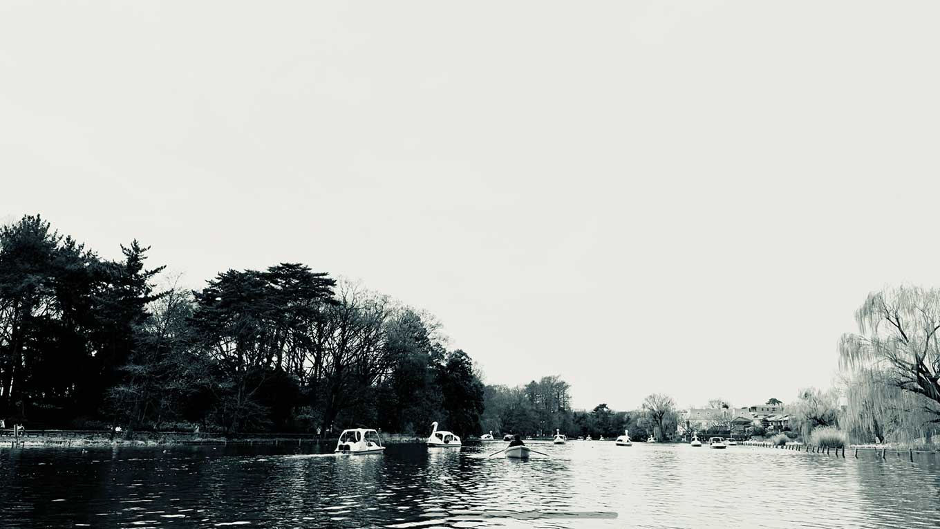 Ishigamii Park, a child of hard-to-understand ducks